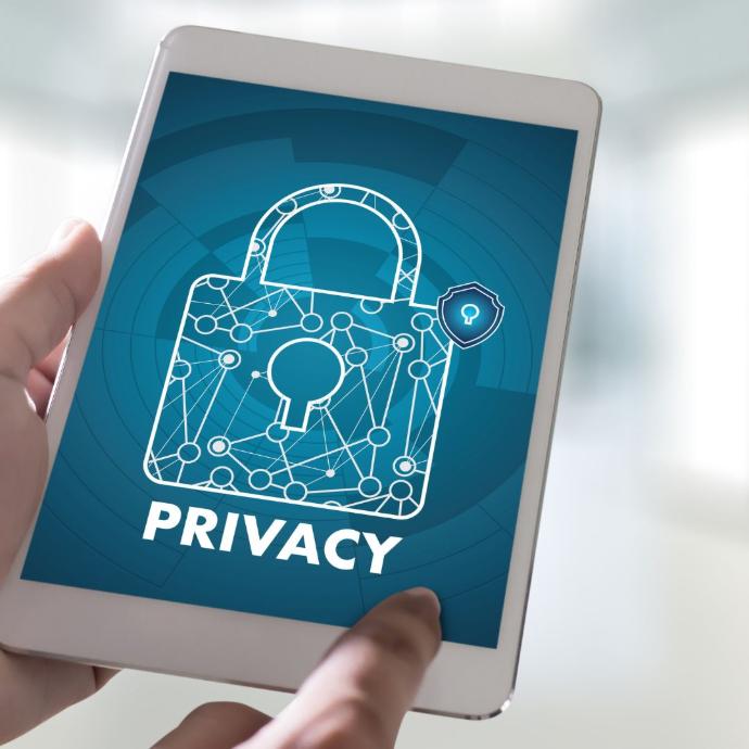 IA privada para empresas